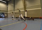 DSC 0505