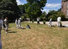 DSC 0954
