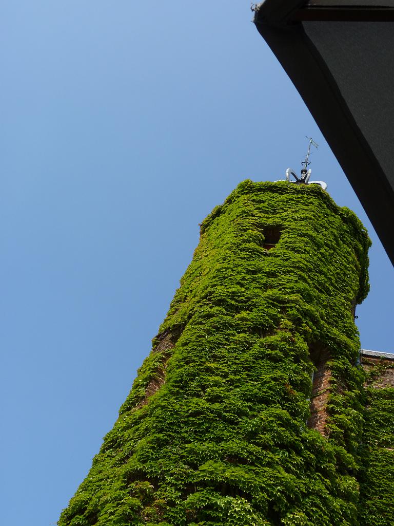 P1090213.JPG
