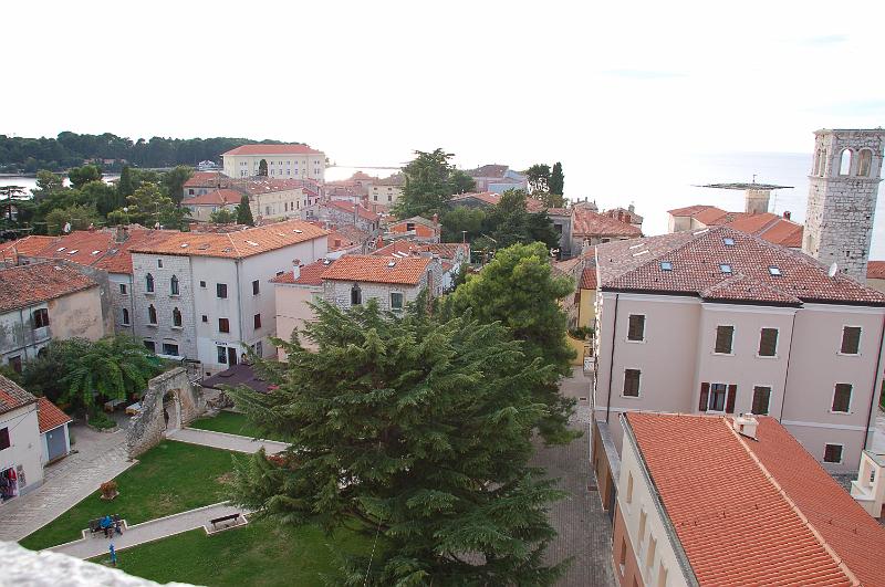 DSC_0334.JPG