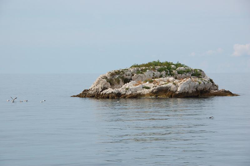 DSC_0439.JPG