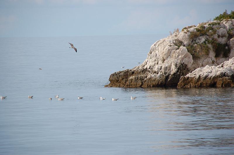 DSC_0440.JPG