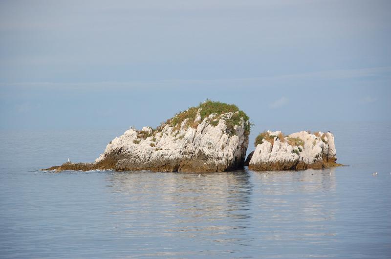 DSC_0441.JPG