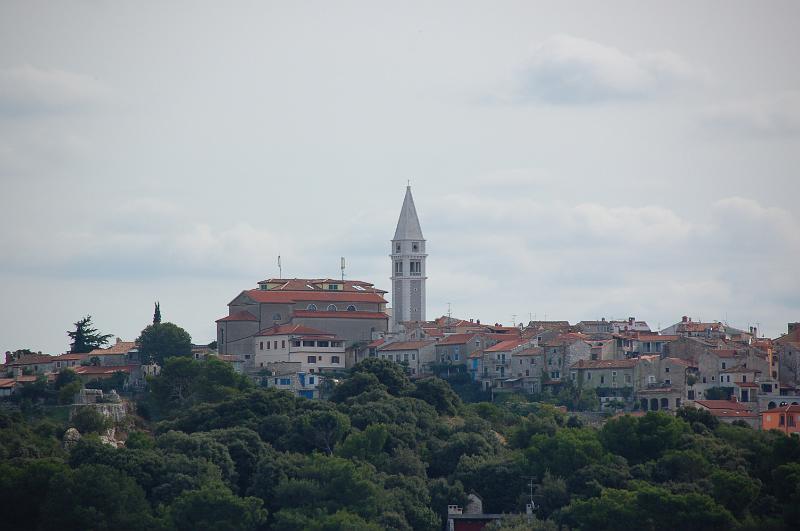 DSC_0443.JPG
