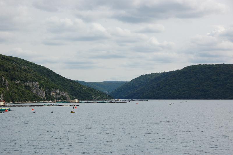 DSC_0457.JPG