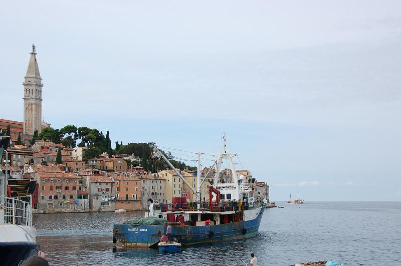 DSC_0473.JPG