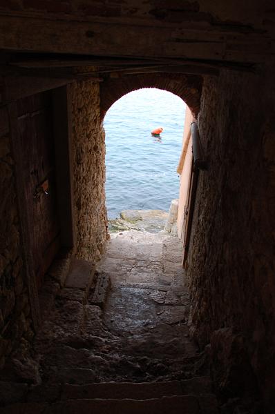 DSC_0480.JPG