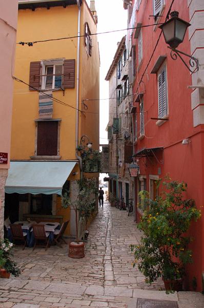 DSC_0531.JPG