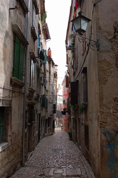 DSC_0535.JPG