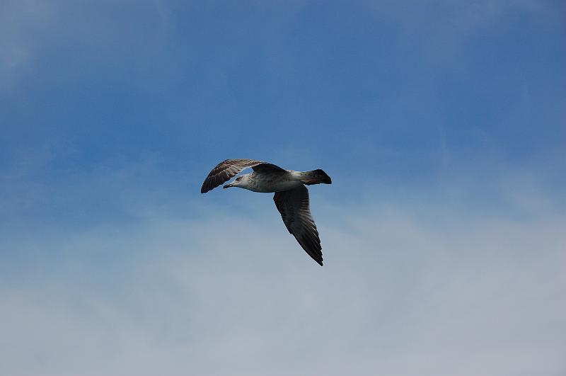 DSC_0573.JPG