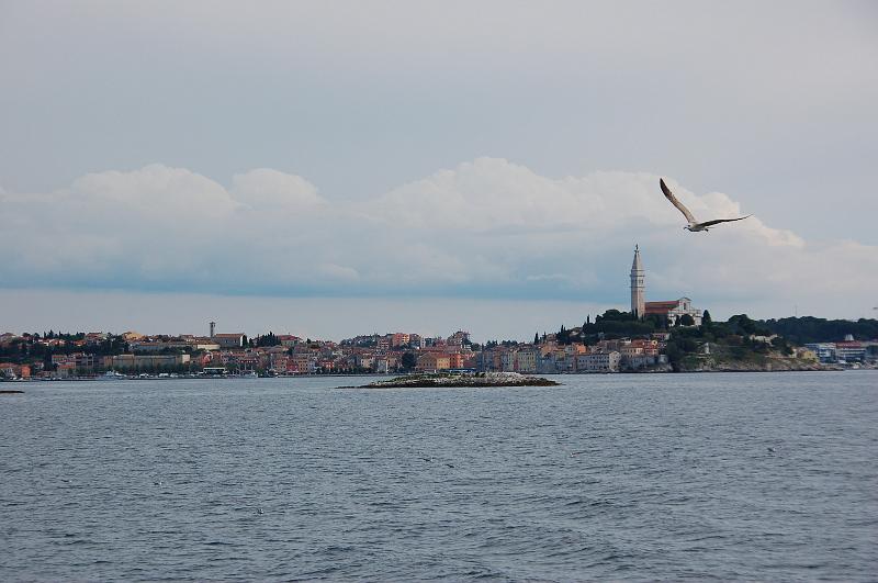 DSC_0584.JPG