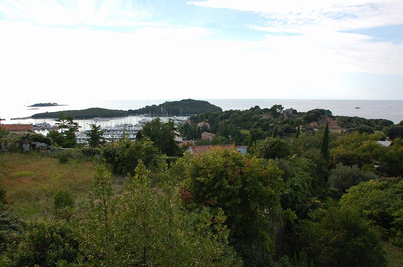 DSC_0602.JPG