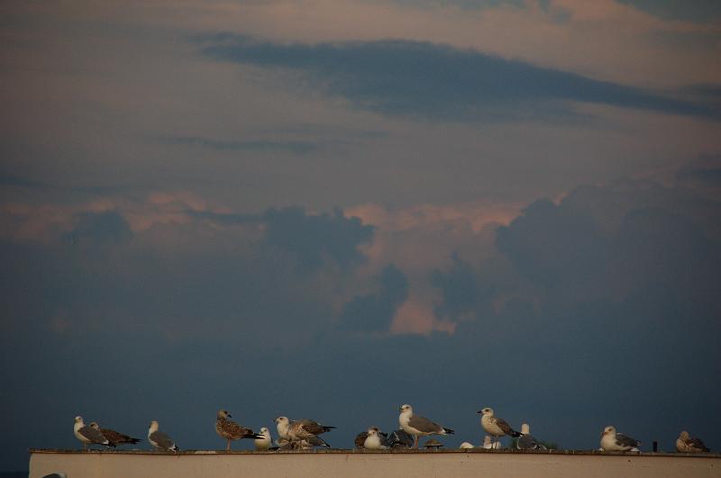 DSC_0014.JPG