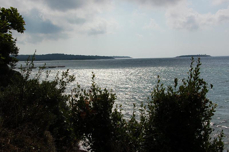 DSC_0030.JPG