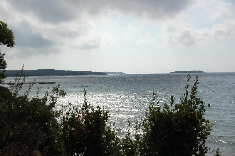 DSC_0031.JPG