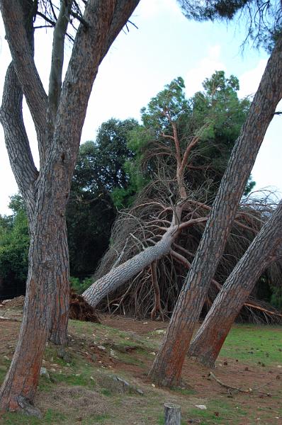 DSC_0032.JPG
