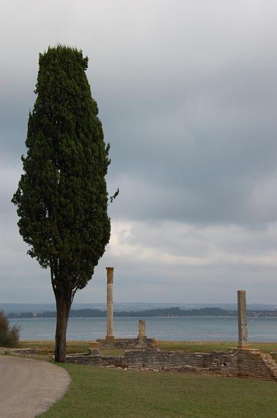DSC_0083.JPG