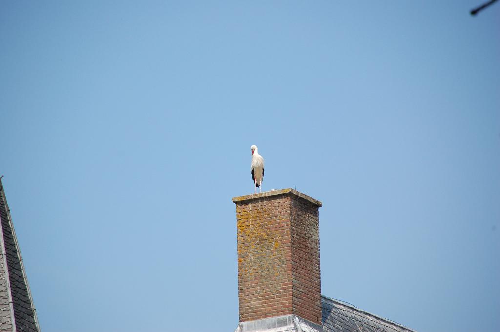 DSC_0021.JPG