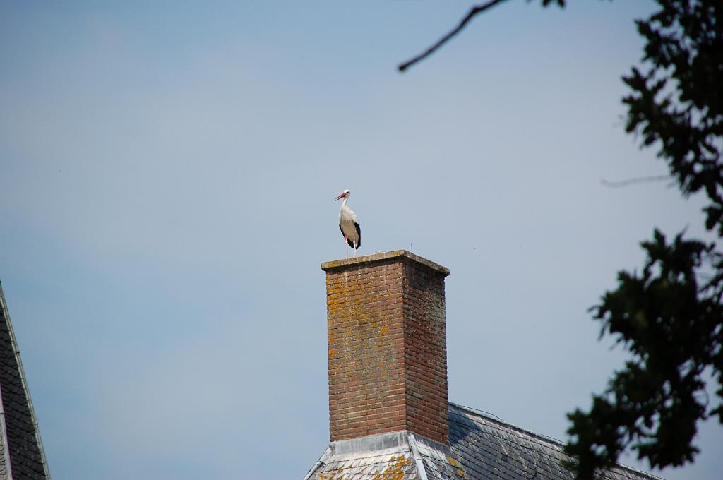 DSC_0032.JPG