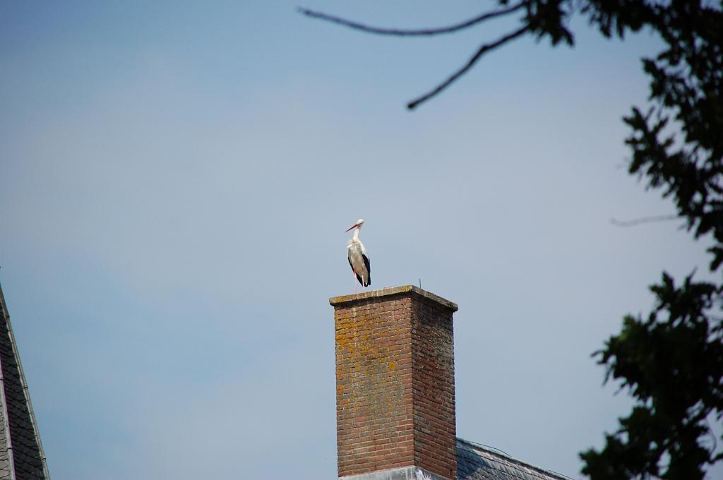 DSC_0033.JPG
