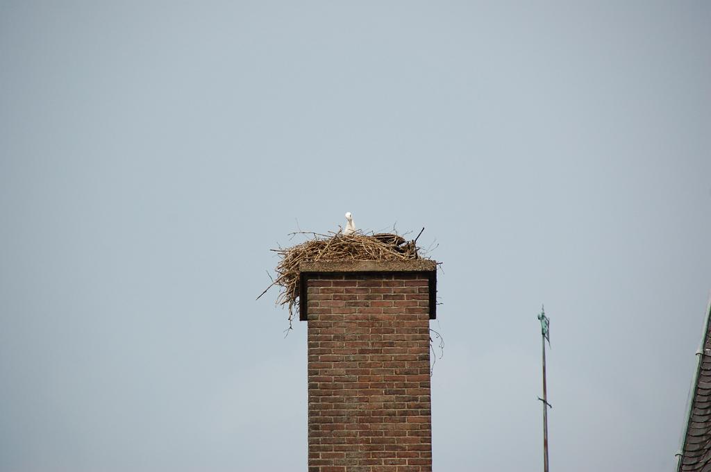 DSC_0054.JPG