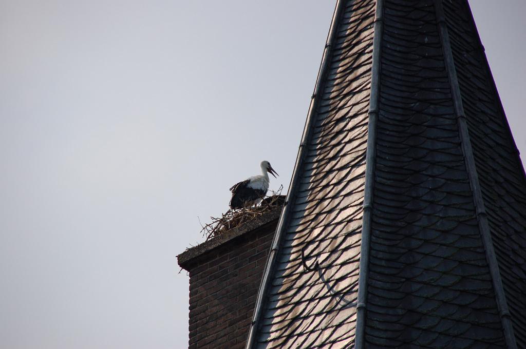 DSC_0092.JPG
