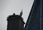DSC 0488