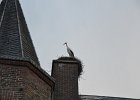 DSC 0494