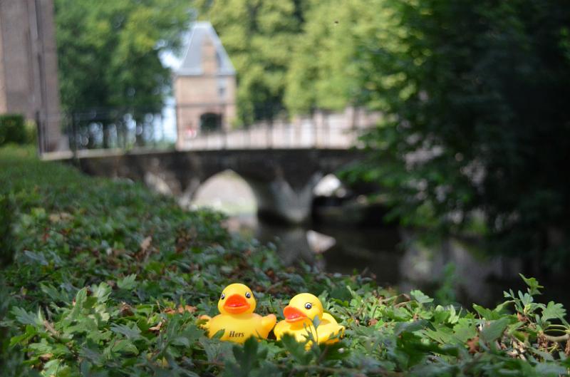 DSC_0099.JPG