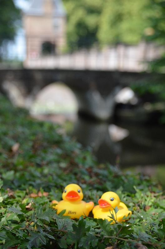 DSC_0100.JPG