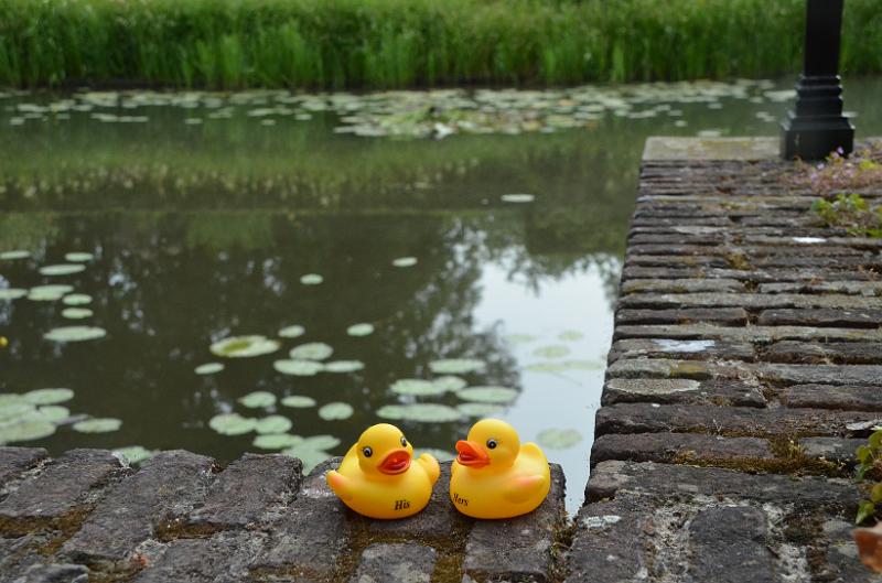 DSC_0132.JPG