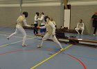 DSC 0240