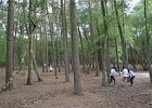 DSC 0051