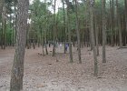 DSC 0149