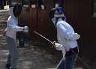 DSC 0245