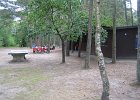IMG 4390
