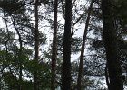 IMG 4403