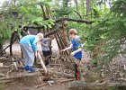 IMG 4423