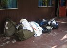 IMG 4434