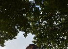 DSC 0101