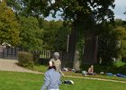 DSC 0131