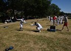 DSC 1067