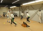 IMG 8988