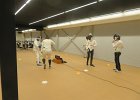 IMG 9006