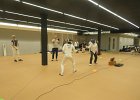 IMG 9254